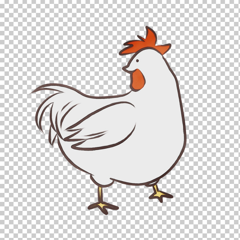 Rooster Chicken Birds Beak Water Bird PNG, Clipart, Beak, Biology, Birds, Cartoon, Chicken Free PNG Download