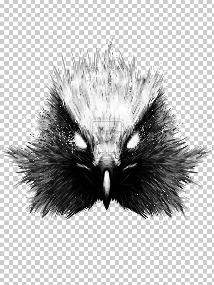 Beak Echidna Fur Feather PNG, Clipart, Animals, Beak, Black And White, Closeup, Echidna Free PNG Download