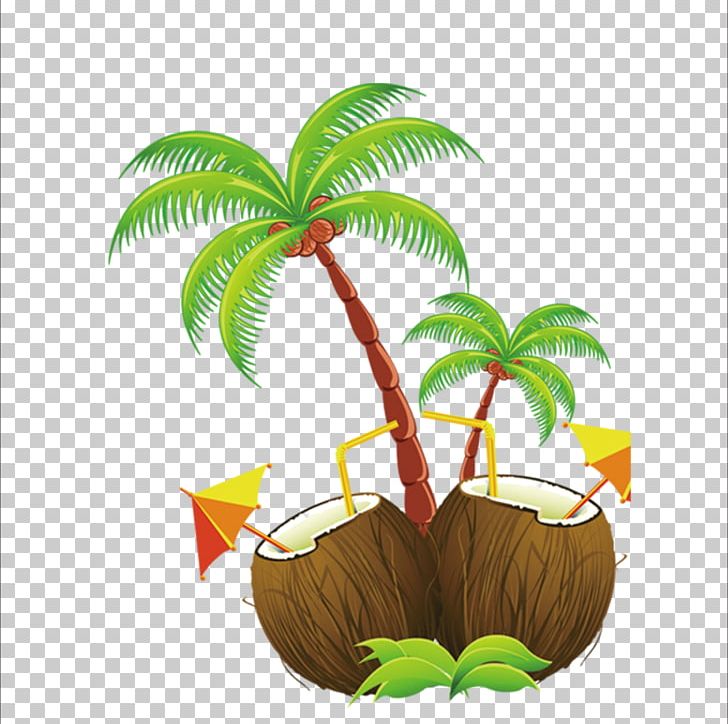 Hawaii Island PNG, Clipart, Arecales, Coconut, Coconut Leaf, Coconut Leaves, Coconut Milk Free PNG Download