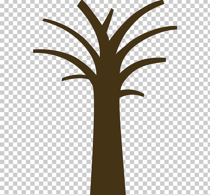 Palm Trees Trunk Branch Portable Network Graphics PNG, Clipart, Arecales, Branch, Cedrus Libani, Flower, Flowering Plant Free PNG Download