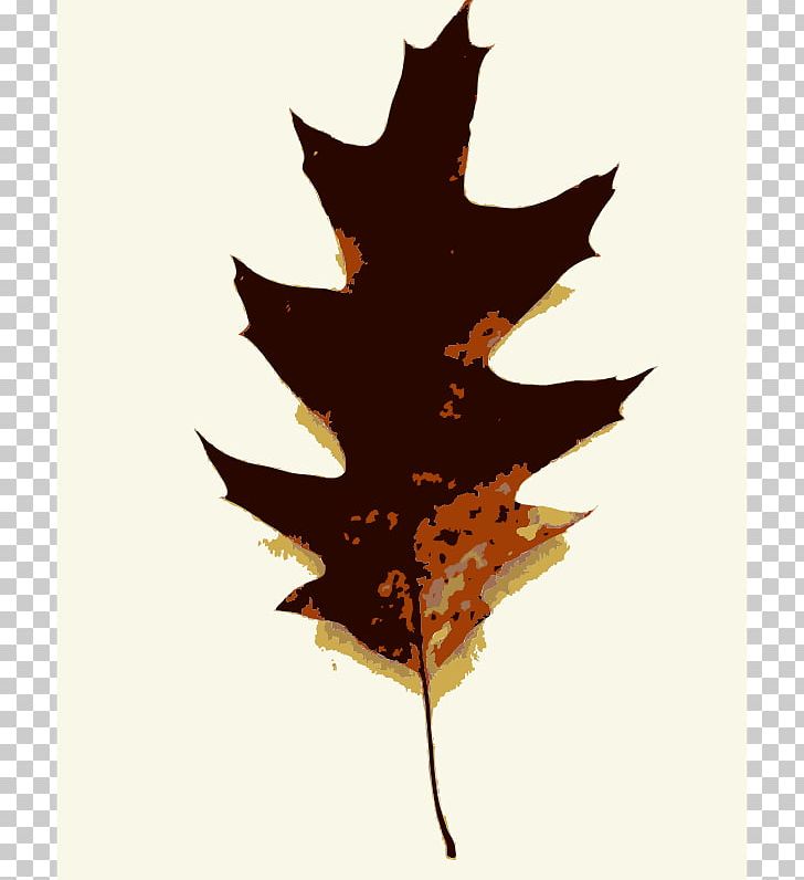 Tree Oak Leaf PNG, Clipart, Autumn, Clump Cliparts, Free Content, Leaf, Maple Leaf Free PNG Download