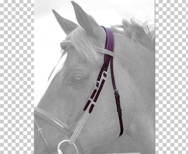Horse Bridle Rein Noseband Halter PNG, Clipart, Animals, Breastplate, Bridle, Collection, Dressage Free PNG Download