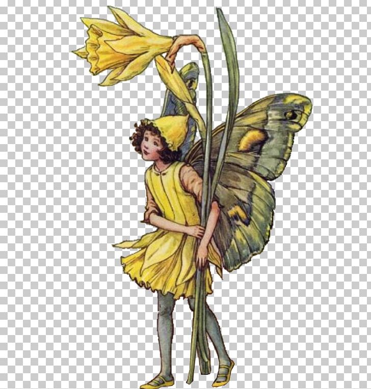 The Book Of The Flower Fairies Flower Fairies Of The Summer A Flower Fairy Alphabet PNG, Clipart, Andrew, Art, Artist, Fictional Character, Flower Free PNG Download
