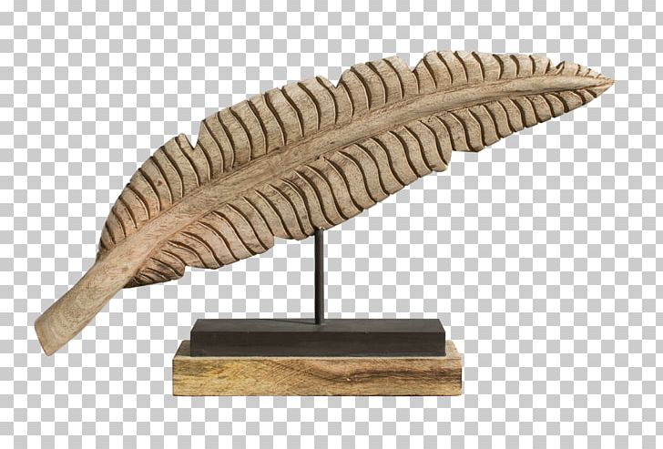 Wood /m/083vt PNG, Clipart, Feather Tree, M083vt, Nature, Wood Free PNG Download