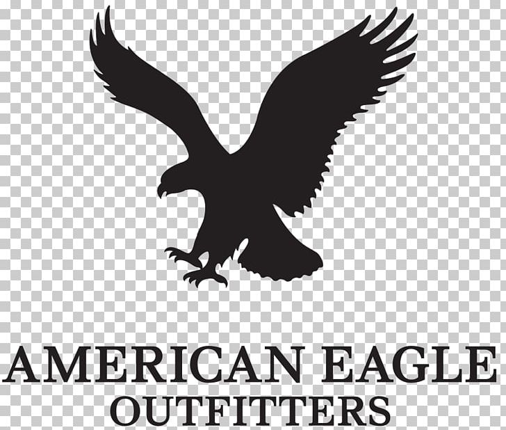 American Eagle Outfitters Logo Brand Clothing PNG, Clipart, American Eagle Outfitters, Animals, Beak, Bird, Bird Of Prey Free PNG Download
