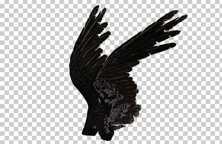 Angel Chroma Key PNG, Clipart, Angel, Art, Beak, Bird, Bird Of Prey Free PNG Download