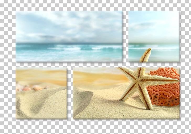 Beach Desktop Shore Starfish Seashell PNG, Clipart, 2160p, Beach, Computer, Deniz, Desktop Wallpaper Free PNG Download