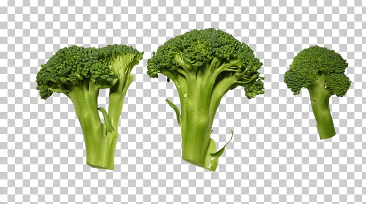 Broccoli Vegetable PNG, Clipart, Aging, Anti, Anti Aging, Broccoli, Download Free PNG Download