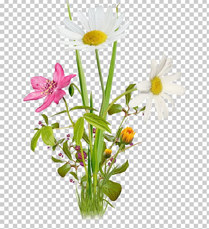 Colored Floral Design PNG, Clipart, Artificial Flower, Color, Color Smoke, Color Splash, Daisy Family Free PNG Download