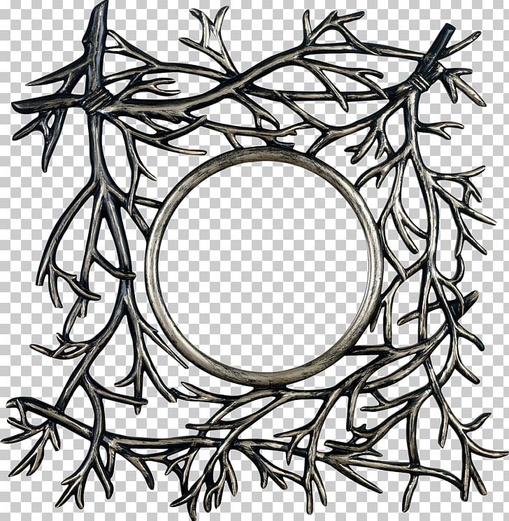 Frames Mirror Leaf Monochrome Photography PNG, Clipart, Black And White, Branch, Circle, Flower, Fruit Nut Free PNG Download