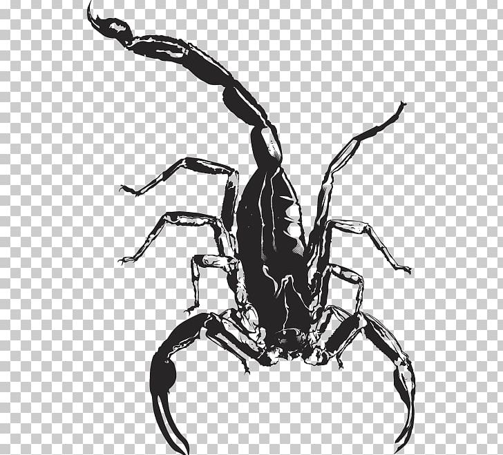 Insect PNG, Clipart, Animals, Art, Arthropod, Artwork, Black And White Free PNG Download