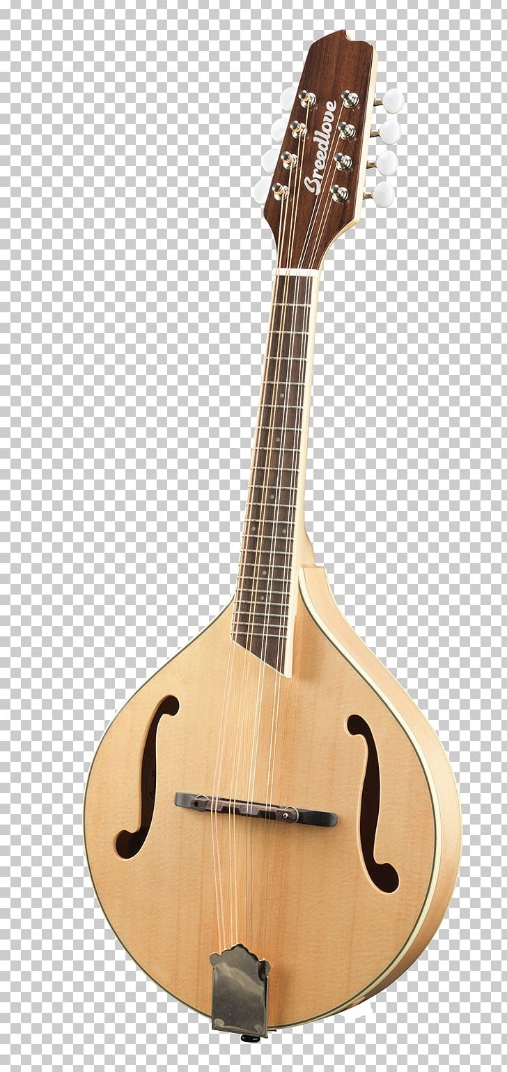 Tiple Mandolin Acoustic Guitar Cuatro Cavaquinho PNG, Clipart, Acousticelectric Guitar, Acoustic Electric Guitar, Acoustic Guitar, Banjo, Banjo Guitar Free PNG Download