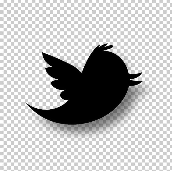 Computer Icons Logo Social Media PNG, Clipart, Beak, Bird, Bird Icon, Black And White, Computer Icons Free PNG Download