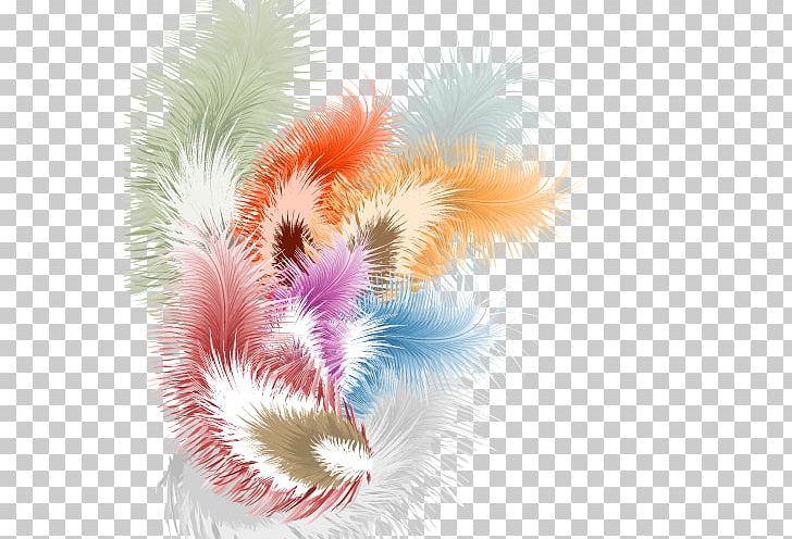 Feather Illustration PNG, Clipart, Animals, Art, Closeup, Color, Colored Free PNG Download