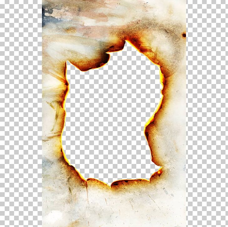 Paper Combustion Flame Fire PNG Clipart Burn Burning Burning Paper 