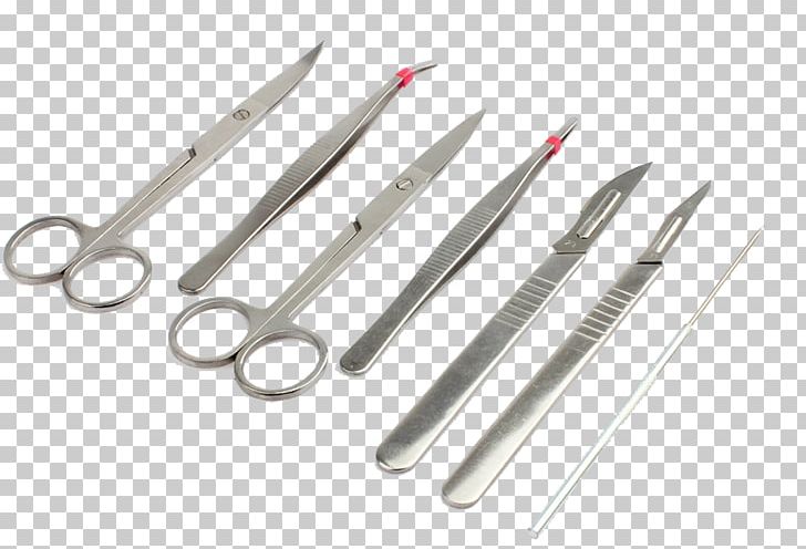 Scissors Hair-cutting Shears PNG, Clipart, Air Shipping, Hair, Haircutting Shears, Hair Shear, Scissors Free PNG Download