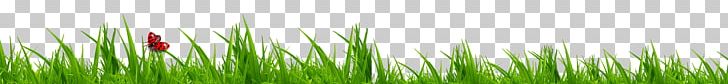 Wheatgrass Green Close-up Computer PNG, Clipart, Artificial Grass, Background, Cartoon Grass, Closeup, Close Up Free PNG Download