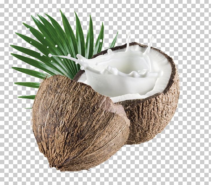 Coconut Milk Powder Organic Food Coconut Water PNG, Clipart, Christmas Decoration, Coconut, Coconut Milk, Coconut Oil, Decoration Free PNG Download