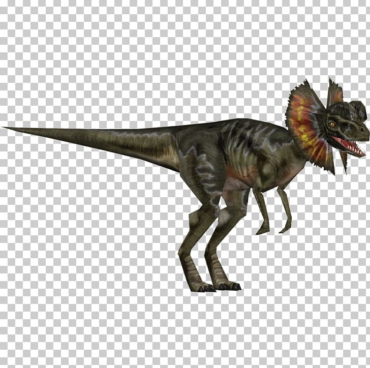 Velociraptor Dilophosaurus Allosaurus Dinosaur Tyrannosaurus PNG, Clipart, Allosaurus, Carnotaurus, Dilophosaurus, Dinosaur, Extinction Free PNG Download