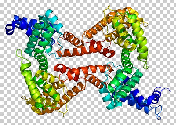 Vitamin D-binding Protein GcMAF Globulin PNG, Clipart, Art, Bead, Binding Protein, Body Jewelry, Calcifediol Free PNG Download