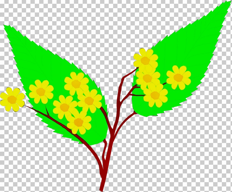 Leaf Yellow Flower Plant PNG, Clipart, Flower, Leaf, Paint, Plant, Watercolor Free PNG Download
