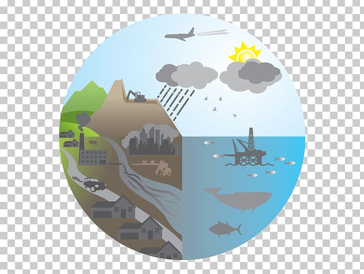 Ecosystem Architectural Graphics Systems Ecology PNG, Clipart, Architectural Graphics, Art, Diagram, Echosystems Sa, Ecology Free PNG Download