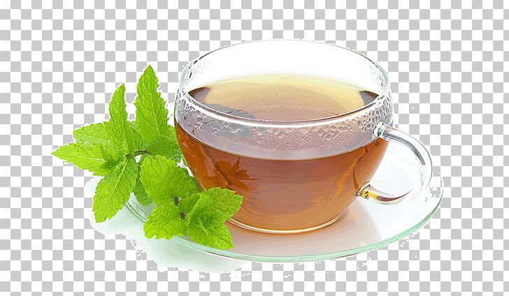 Maghrebi Mint Tea Peppermint Tea Green Tea PNG, Clipart, Apple Mint, Assam Tea, Cafe, Chinese Herb Tea, Cooking Free PNG Download