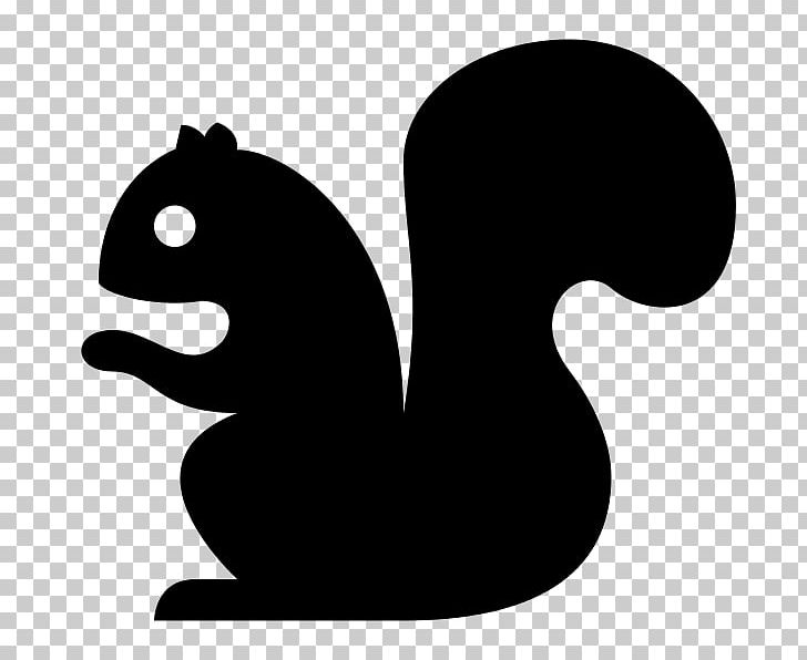 Squirrel Computer Icons PNG, Clipart, Animals, Black And White, Carnivoran, Cat, Cat Like Mammal Free PNG Download