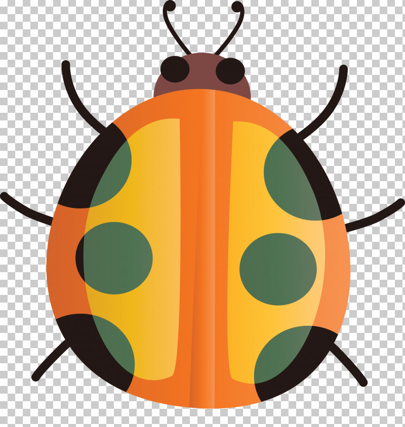 Orange PNG, Clipart, Insect, Jewel Bugs, Orange, Pest, Watercolor Ladybug Free PNG Download