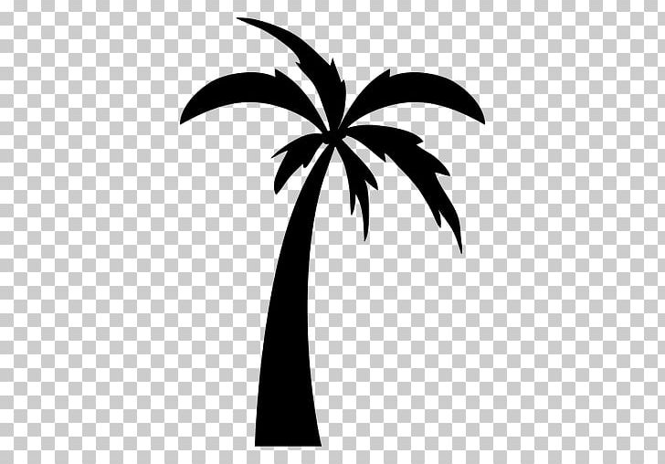 Drawing Arecaceae Tree PNG, Clipart, Arecaceae, Arecales, Black And White, Branch, Cartoon Free PNG Download