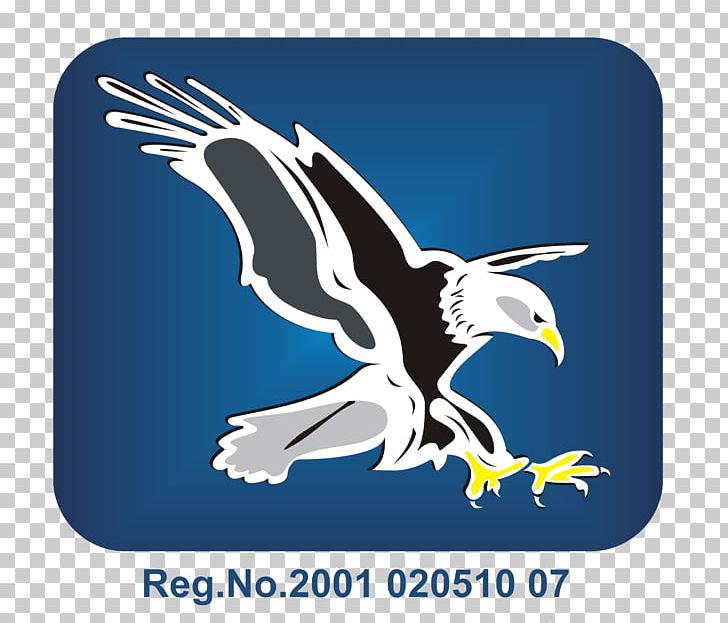 Nash Rocky Mount Early College Elementary School Olive Grove Charter School PNG, Clipart, Bald Eagle, Beak, Bird, Bird Of Prey, Brand Free PNG Download