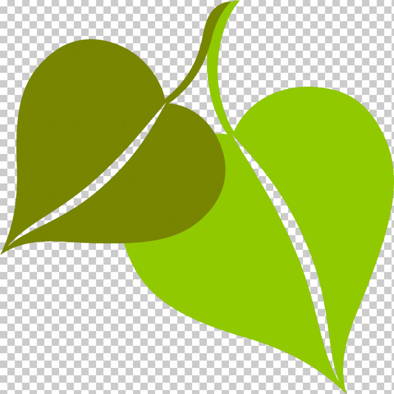 Plant Stem Leaf Green Line Meter PNG, Clipart, Biology, Fruit, Green, Leaf, Line Free PNG Download