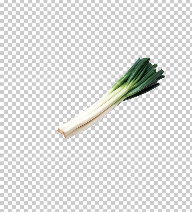 Allium Fistulosum Onion Garlic Chives Scallion PNG, Clipart, Album, Allium, Allium Scorodoprasum, Cauliflower, Download Free PNG Download