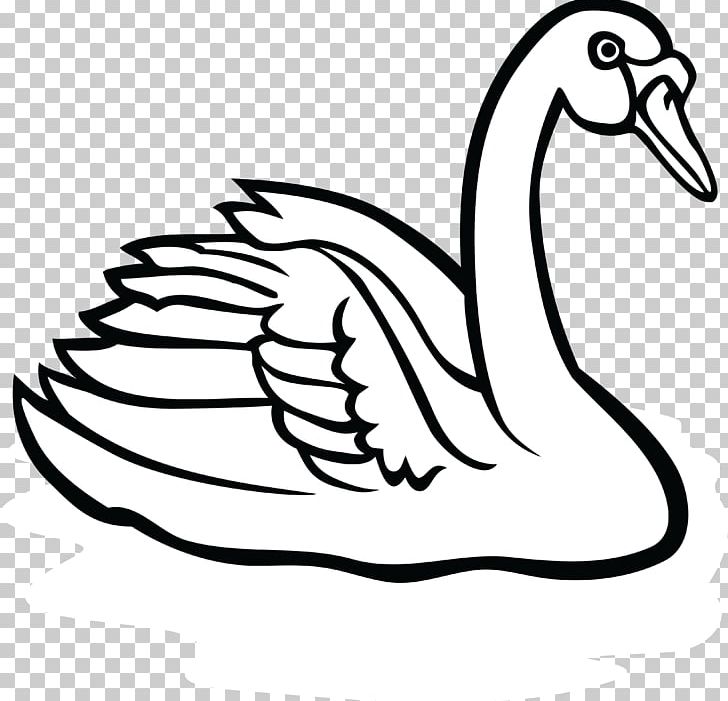 Line Art Drawing PNG, Clipart, Art, Artwork, Beak, Bird, Black And White Free PNG Download