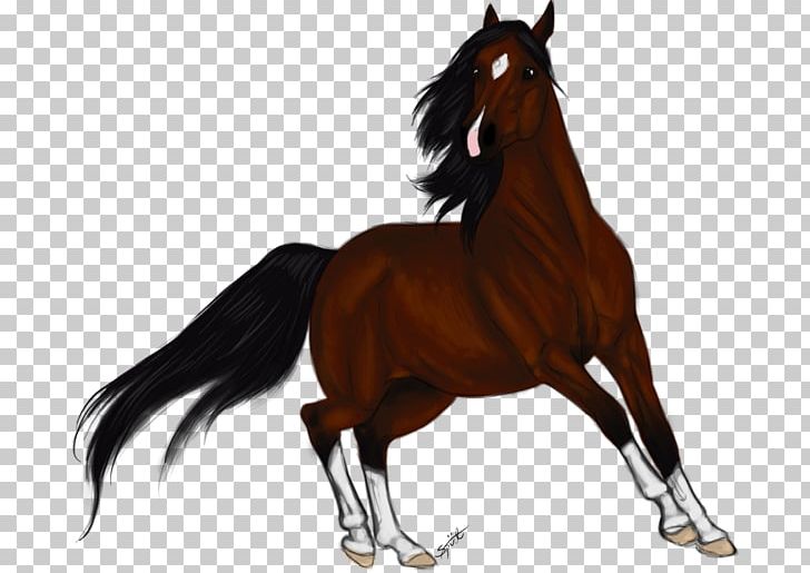 Mustang Bridle Mare Stallion Halter PNG, Clipart, Bridle, Butterflies Float, Equestrian, Halter, Horse Free PNG Download