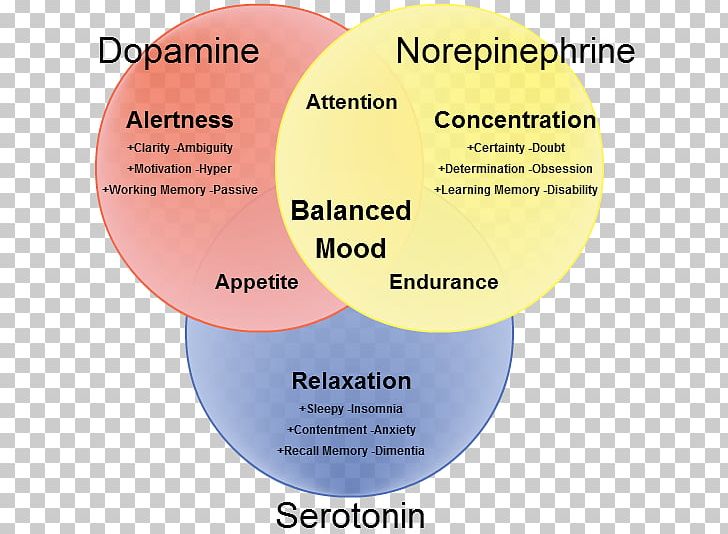 Dopamine Norepinephrine Epinephrine