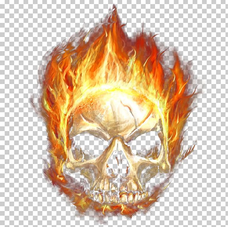 Calavera Skull Flame Fire PNG, Clipart, Bone, Calavera, Combustion, Computer Wallpaper, Decorative Elements Free PNG Download