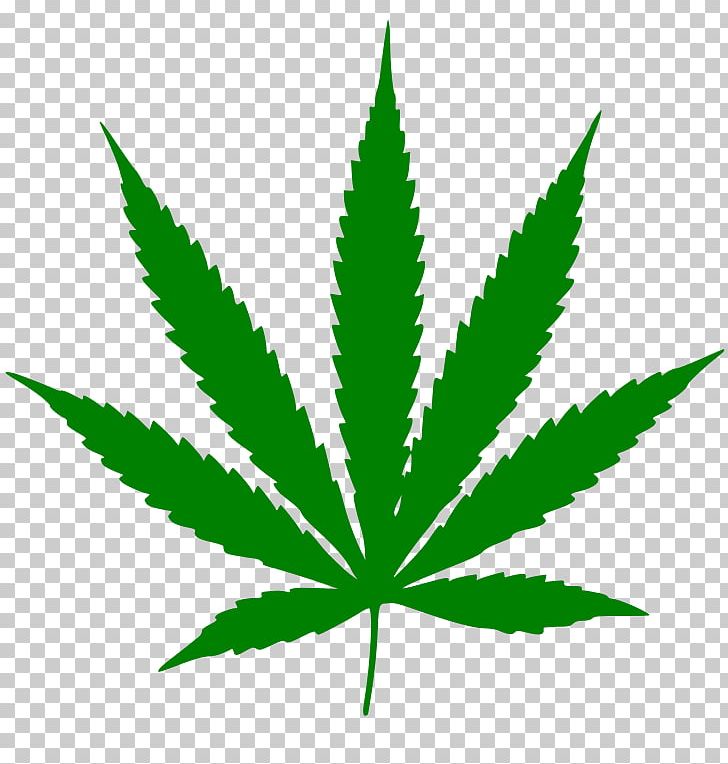 Cannabis Ruderalis Cannabis Sativa Leaf PNG, Clipart, Art Green, Cannabinoid, Cannabis, Cannabis Ruderalis, Cannabis Sativa Free PNG Download