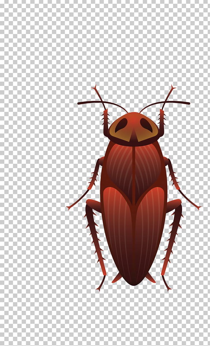 Insect Wing Cockroach Bee Butterfly PNG, Clipart, Animals, Ant, Arthropod, Beetle, Cockroach Vector Free PNG Download