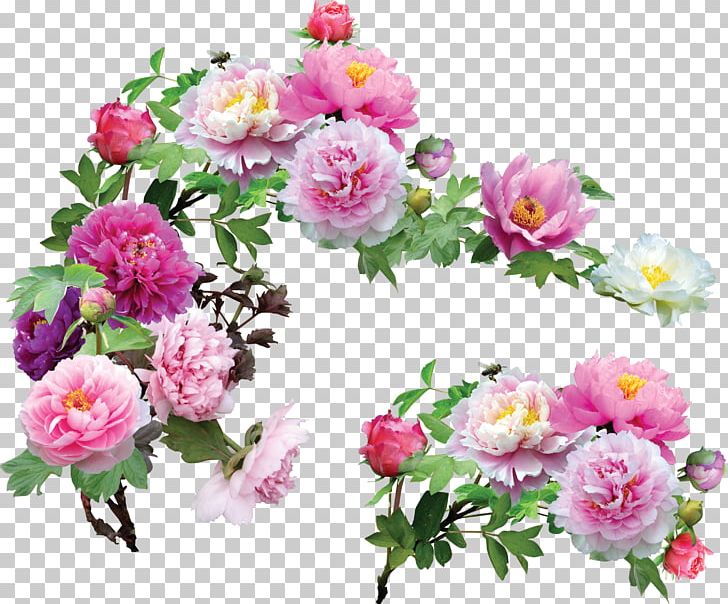 Peony Flower Blog PNG, Clipart, Albom, Annual Plant, Artificial Flower, Computer Icons, Cut Flowers Free PNG Download