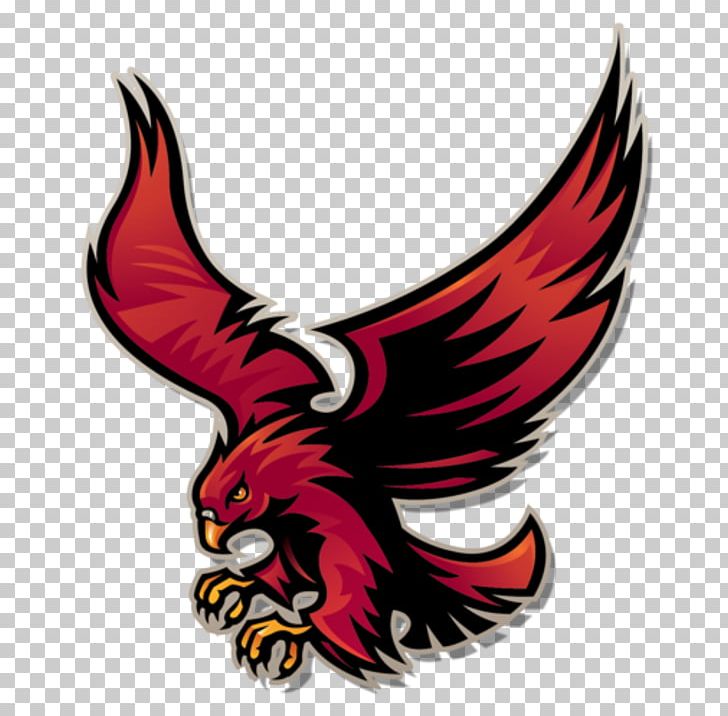 Roberts Wesleyan College Roberts Wesleyan Redhawks Men's Basketball Stonehill College Mercyhurst University University Of The District Of Columbia PNG, Clipart, Basketball, Bird, Chicken, Claw, Fictional Character Free PNG Download