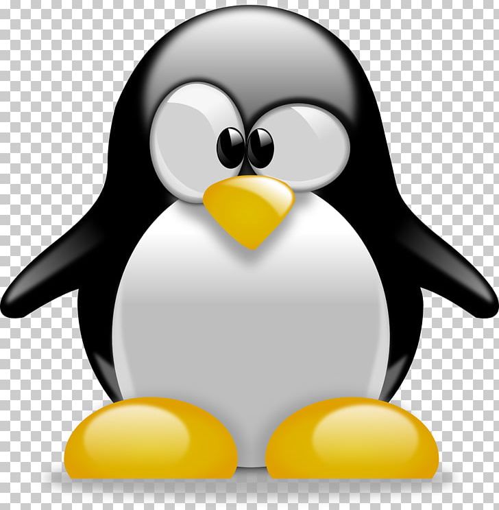 Baby Penguins Drawing Cartoon PNG, Clipart, Animals, Animation, Art, Baby Penguins, Beak Free PNG Download