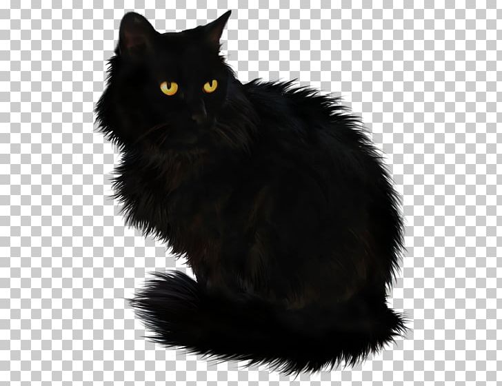 Black Cat PNG, Clipart, Animals, Asian Semi Longhair, Black, Black And White, Carnivoran Free PNG Download