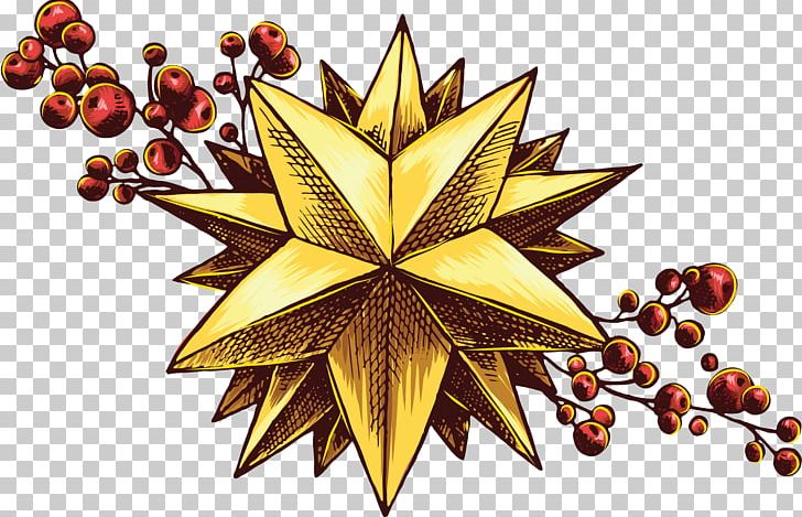 Christmas Card Star Greeting & Note Cards PNG, Clipart, Christmas, Christmas Card, Christmas Ornament, Estrella, Fruit Free PNG Download