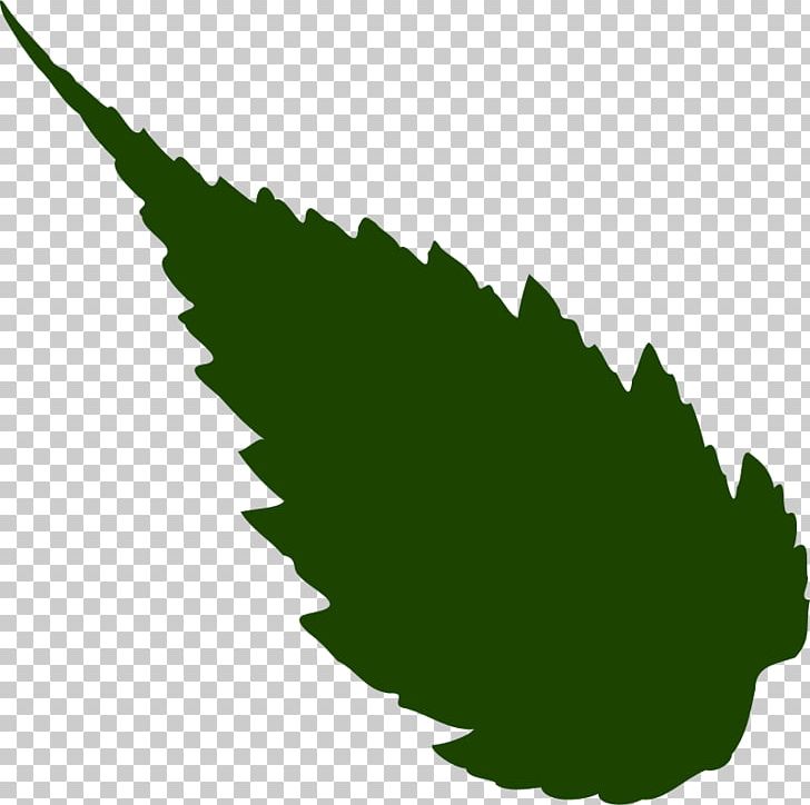 Coimbatore Neem Tree Leaf Stock Photography Medicinal Plants PNG, Clipart, Azadirachta, Coimbatore, Description, Grass, Green Free PNG Download