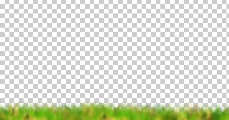 Crop Lawn Grassland Green Grasses PNG, Clipart, Agriculture, Commodity, Computer, Computer Wallpaper, Crop Free PNG Download