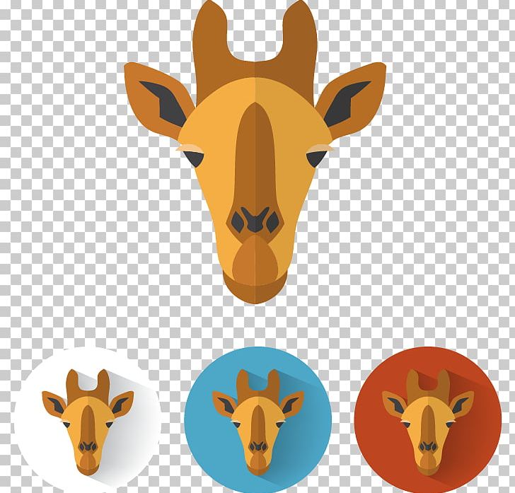 Northern Giraffe Euclidean PNG, Clipart, Animal, Animal Heads, Avatar, Avatars, Avatar Vector Free PNG Download