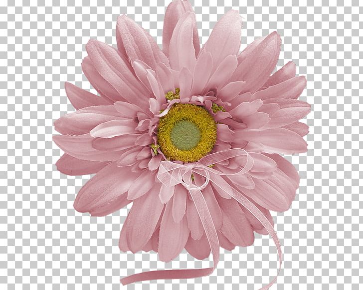 Watercolor Painting Flower PNG, Clipart, Annual Plant, Art, Aster, Chrysanths, Cicek Resimleri Free PNG Download