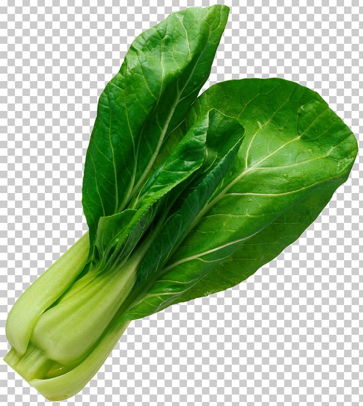 Leaf Vegetable Salad Spinach PNG, Clipart, Basil, Cabbage, Chard, Chinese Cabbage, Choy Sum Free PNG Download