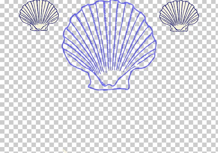 Seashell Clam PNG, Clipart, Animals, Area, Art, Clam, Conch Free PNG Download